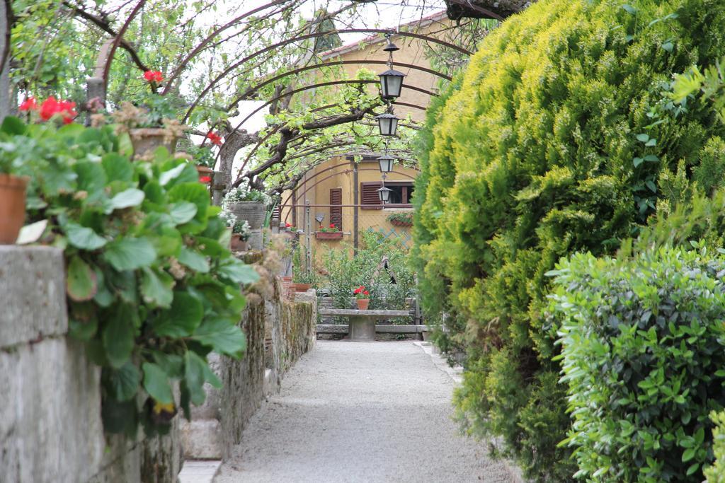 Residenza Dei Ricci Bed and Breakfast Chiusi Eksteriør billede